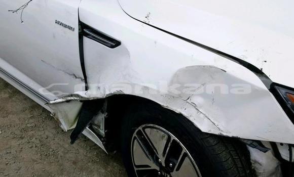 Buy Used Kia Optima White Car in Tbilisi in Tbilisi Buy Used Kia Optima White Car in Tbilisi in Tbilisi