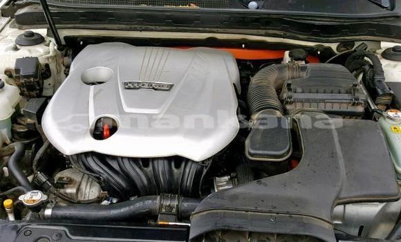 Buy Used Kia Optima White Car in Tbilisi in Tbilisi Buy Used Kia Optima White Car in Tbilisi in Tbilisi