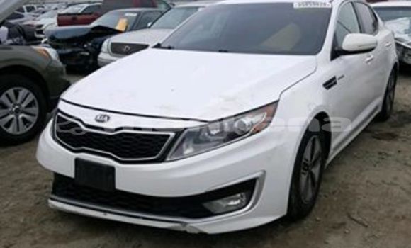 Buy Used Kia Optima White Car in Tbilisi in Tbilisi Buy Used Kia Optima White Car in Tbilisi in Tbilisi