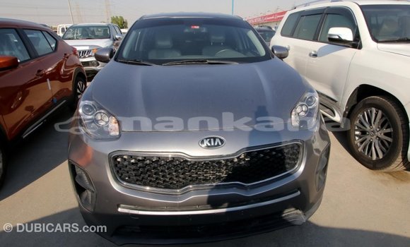 Buy Import Kia Sportage Other Car in Import - Dubai in Abhasia Buy Import Kia Sportage Other Car in Import - Dubai in Abhasia