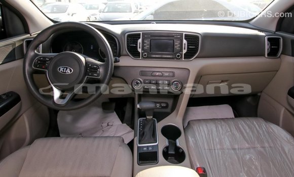 Buy Import Kia Sportage Other Car in Import - Dubai in Abhasia Buy Import Kia Sportage Other Car in Import - Dubai in Abhasia