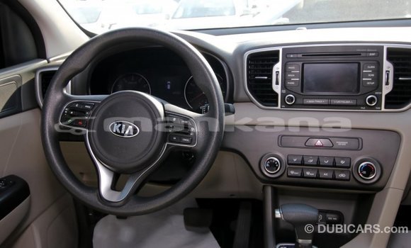 Buy Import Kia Sportage Other Car in Import - Dubai in Abhasia Buy Import Kia Sportage Other Car in Import - Dubai in Abhasia