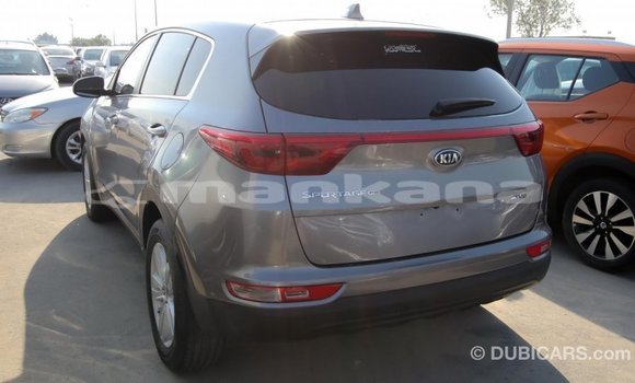 Buy Import Kia Sportage Other Car in Import - Dubai in Abhasia Buy Import Kia Sportage Other Car in Import - Dubai in Abhasia