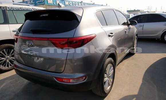 Buy Import Kia Sportage Other Car in Import - Dubai in Abhasia Buy Import Kia Sportage Other Car in Import - Dubai in Abhasia