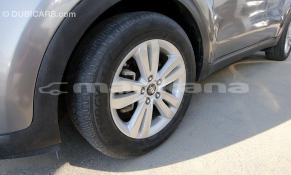 Buy Import Kia Sportage Other Car in Import - Dubai in Abhasia Buy Import Kia Sportage Other Car in Import - Dubai in Abhasia