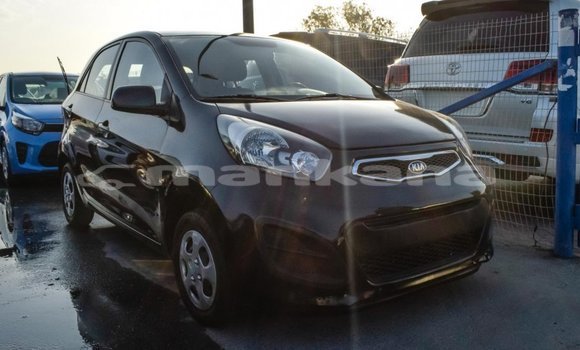 Buy Import Kia Picanto Black Car in Import - Dubai in Abhasia Buy Import Kia Picanto Black Car in Import - Dubai in Abhasia