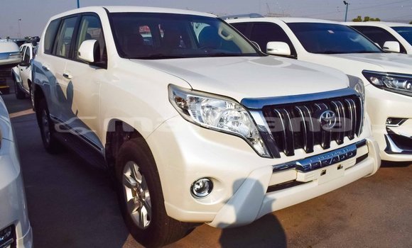 Buy Import Toyota Prado White Car in Import - Dubai in Abhasia Buy Import Toyota Prado White Car in Import - Dubai in Abhasia