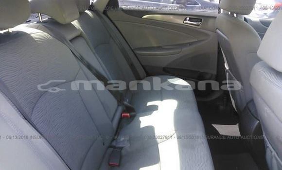 Buy Used Hyundai Sonata Black Car in Tbilisi in Tbilisi Buy Used Hyundai Sonata Black Car in Tbilisi in Tbilisi