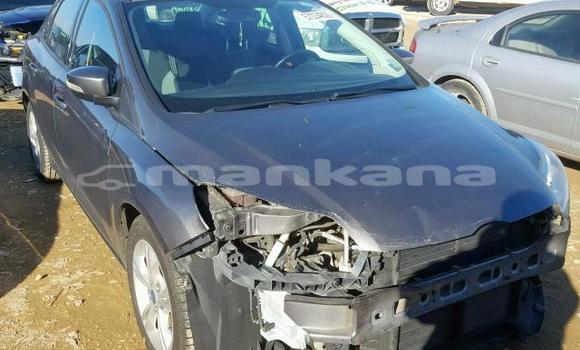 Buy Used Ford Focus Other Car in Tbilisi in Tbilisi Buy Used Ford Focus Other Car in Tbilisi in Tbilisi