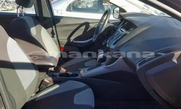 Buy Used Ford Focus Other Car in Tbilisi in Tbilisi Buy Used Ford Focus Other Car in Tbilisi in Tbilisi