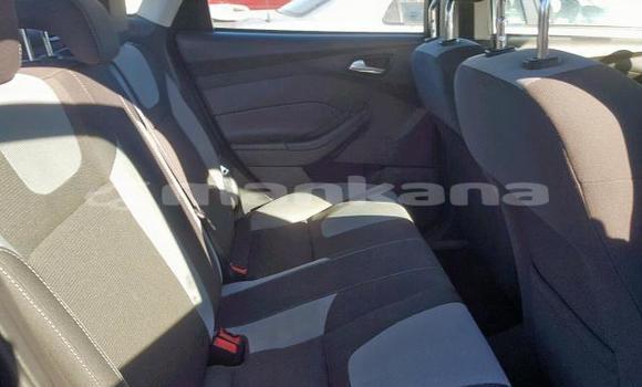 Buy Used Ford Focus Other Car in Tbilisi in Tbilisi Buy Used Ford Focus Other Car in Tbilisi in Tbilisi