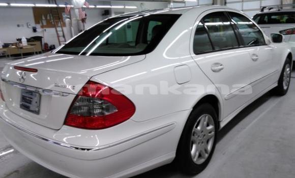 Buy Used Mercedes-Benz E-klasse White Car in Tbilisi in Tbilisi Buy Used Mercedes-Benz E-klasse White Car in Tbilisi in Tbilisi