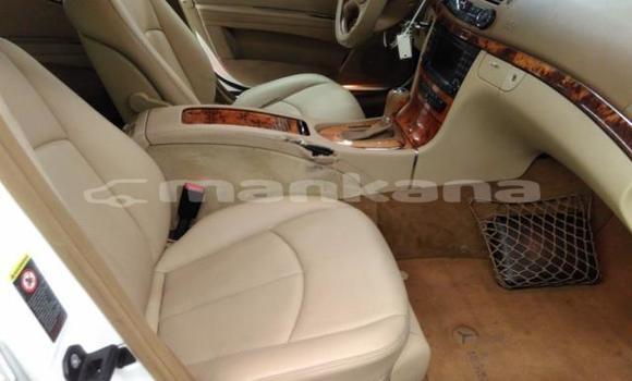 Buy Used Mercedes-Benz E-klasse White Car in Tbilisi in Tbilisi Buy Used Mercedes-Benz E-klasse White Car in Tbilisi in Tbilisi