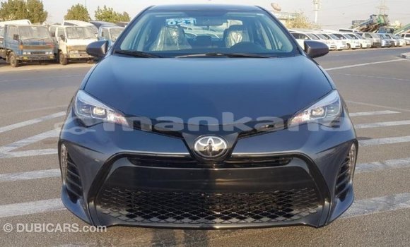 Buy Import Toyota Corolla Other Car in Import - Dubai in Abhasia Buy Import Toyota Corolla Other Car in Import - Dubai in Abhasia