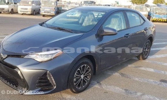 Buy Import Toyota Corolla Other Car in Import - Dubai in Abhasia Buy Import Toyota Corolla Other Car in Import - Dubai in Abhasia