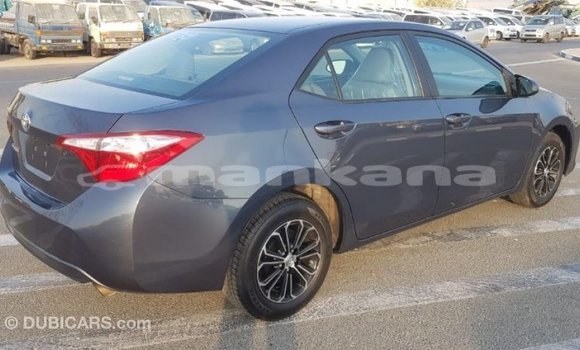 Buy Import Toyota Corolla Other Car in Import - Dubai in Abhasia Buy Import Toyota Corolla Other Car in Import - Dubai in Abhasia