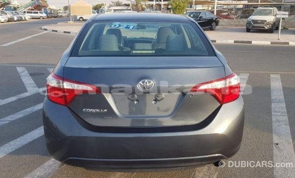 Buy Import Toyota Corolla Other Car in Import - Dubai in Abhasia Buy Import Toyota Corolla Other Car in Import - Dubai in Abhasia