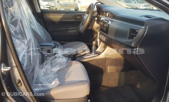 Buy Import Toyota Corolla Other Car in Import - Dubai in Abhasia Buy Import Toyota Corolla Other Car in Import - Dubai in Abhasia
