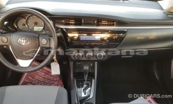 Buy Import Toyota Corolla Other Car in Import - Dubai in Abhasia Buy Import Toyota Corolla Other Car in Import - Dubai in Abhasia