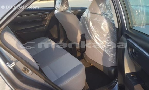 Buy Import Toyota Corolla Other Car in Import - Dubai in Abhasia Buy Import Toyota Corolla Other Car in Import - Dubai in Abhasia