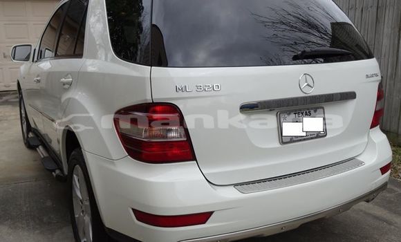 Buy Used Mercedes-Benz ML–Class White Car in Tbilisi in Tbilisi Buy Used Mercedes-Benz ML–Class White Car in Tbilisi in Tbilisi