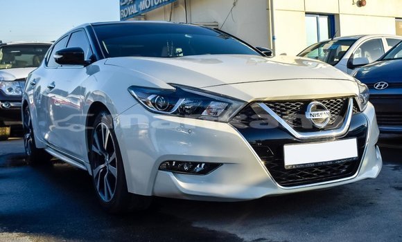 Buy Import Nissan Maxima White Car in Import - Dubai in Abhasia Buy Import Nissan Maxima White Car in Import - Dubai in Abhasia