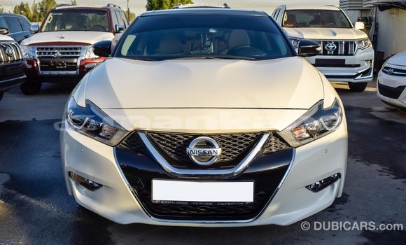 Buy Import Nissan Maxima White Car in Import - Dubai in Abhasia Buy Import Nissan Maxima White Car in Import - Dubai in Abhasia