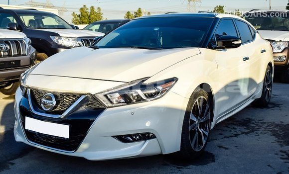 Buy Import Nissan Maxima White Car in Import - Dubai in Abhasia Buy Import Nissan Maxima White Car in Import - Dubai in Abhasia