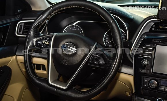 Buy Import Nissan Maxima White Car in Import - Dubai in Abhasia Buy Import Nissan Maxima White Car in Import - Dubai in Abhasia