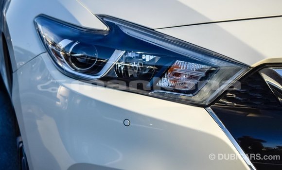 Buy Import Nissan Maxima White Car in Import - Dubai in Abhasia Buy Import Nissan Maxima White Car in Import - Dubai in Abhasia