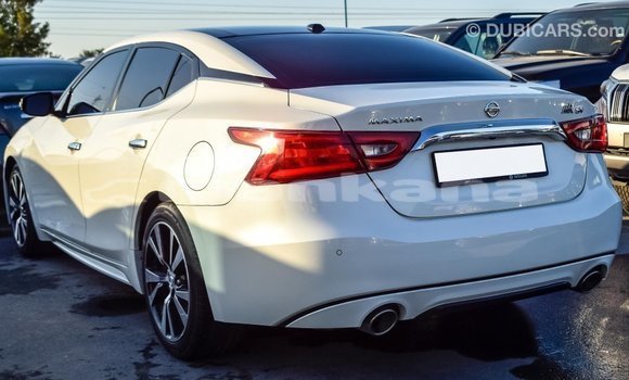 Buy Import Nissan Maxima White Car in Import - Dubai in Abhasia Buy Import Nissan Maxima White Car in Import - Dubai in Abhasia