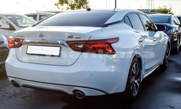 Buy Import Nissan Maxima White Car in Import - Dubai in Abhasia Buy Import Nissan Maxima White Car in Import - Dubai in Abhasia