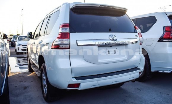 Buy Import Toyota Prado White Car in Import - Dubai in Abhasia Buy Import Toyota Prado White Car in Import - Dubai in Abhasia