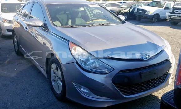 Buy Used Hyundai Sonata Other Car in Tbilisi in Tbilisi