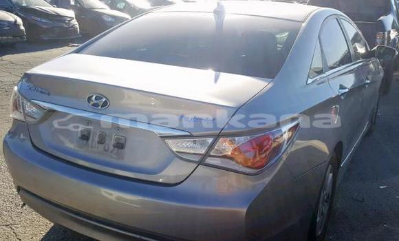 Buy Used Hyundai Sonata Other Car in Tbilisi in Tbilisi Buy Used Hyundai Sonata Other Car in Tbilisi in Tbilisi