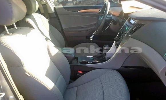 Buy Used Hyundai Sonata Other Car in Tbilisi in Tbilisi Buy Used Hyundai Sonata Other Car in Tbilisi in Tbilisi