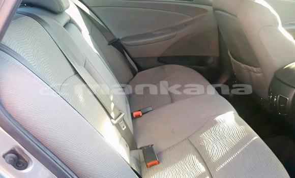 Buy Used Hyundai Sonata Other Car in Tbilisi in Tbilisi Buy Used Hyundai Sonata Other Car in Tbilisi in Tbilisi