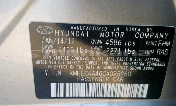 Buy Used Hyundai Sonata Other Car in Tbilisi in Tbilisi Buy Used Hyundai Sonata Other Car in Tbilisi in Tbilisi