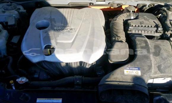 Buy Used Hyundai Sonata Other Car in Tbilisi in Tbilisi Buy Used Hyundai Sonata Other Car in Tbilisi in Tbilisi