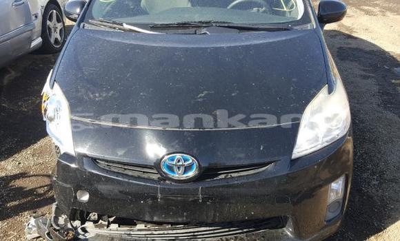 Buy Used Toyota Prius Black Car in Tbilisi in Tbilisi Buy Used Toyota Prius Black Car in Tbilisi in Tbilisi