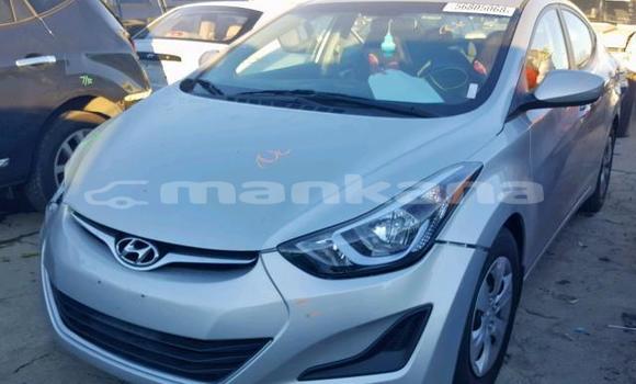 Buy Used Hyundai Elantra Silver Car in Tbilisi in Tbilisi