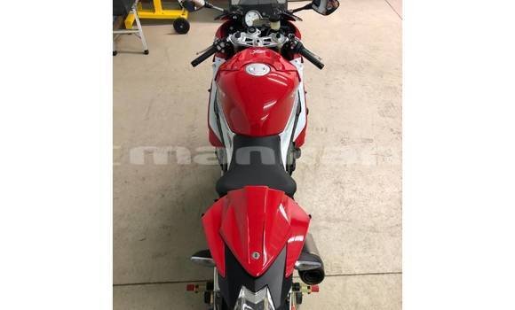Buy Used BMW S 1000 Red Bike in Tbilisi in Tbilisi Buy Used BMW S 1000 Red Bike in Tbilisi in Tbilisi