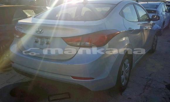 Buy Used Hyundai Elantra Silver Car in Tbilisi in Tbilisi Buy Used Hyundai Elantra Silver Car in Tbilisi in Tbilisi