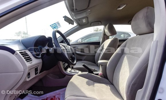 Buy Import Toyota Corolla White Car in Import - Dubai in Abhasia Buy Import Toyota Corolla White Car in Import - Dubai in Abhasia