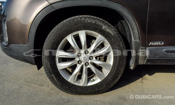 Buy Import Kia Sorento Brown Car in Import - Dubai in Abhasia Buy Import Kia Sorento Brown Car in Import - Dubai in Abhasia