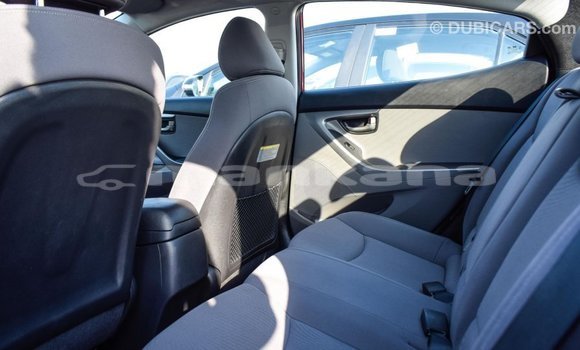 Buy Import Hyundai Elantra Red Car in Import - Dubai in Abhasia Buy Import Hyundai Elantra Red Car in Import - Dubai in Abhasia