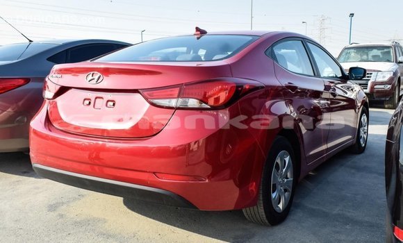 Buy Import Hyundai Elantra Red Car in Import - Dubai in Abhasia Buy Import Hyundai Elantra Red Car in Import - Dubai in Abhasia