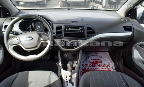 Buy Import Kia Picanto White Car in Import - Dubai in Abhasia Buy Import Kia Picanto White Car in Import - Dubai in Abhasia
