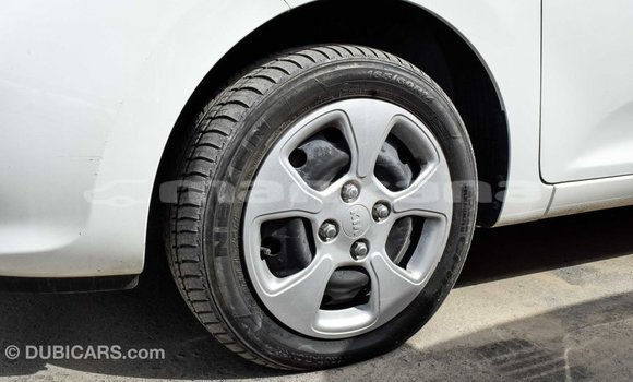 Buy Import Kia Picanto White Car in Import - Dubai in Abhasia Buy Import Kia Picanto White Car in Import - Dubai in Abhasia