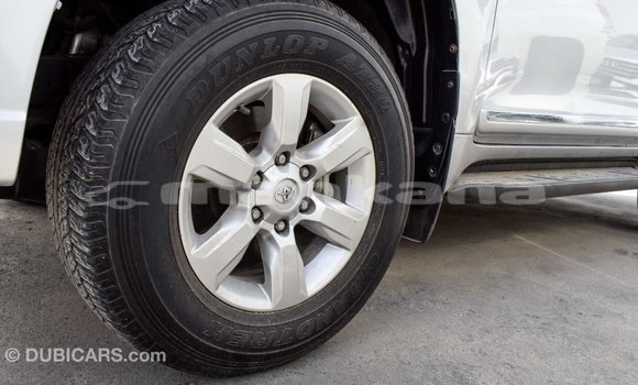 Buy Import Toyota Prado Other Car in Import - Dubai in Abhasia Buy Import Toyota Prado Other Car in Import - Dubai in Abhasia